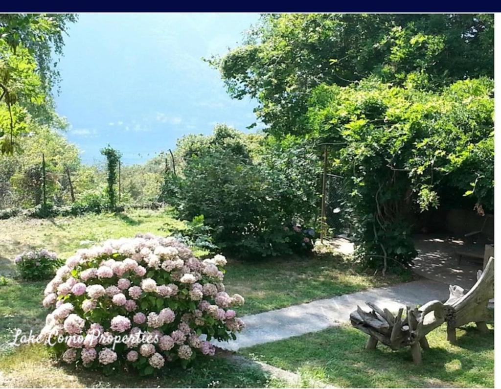 8 room house in Nesso, photo #6, listing #106036224